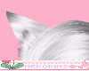 Cat Ear Silver