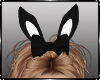 Bunny Ears Bow