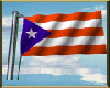 Animated PR Flag