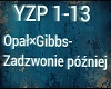 "Zadzwonie pozniej"