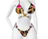 ABX SWIM