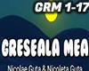 GRESEALA MEA - N&N GUTA