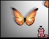 KISA|VirgoButterflies