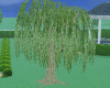 [SS]Weeping Willow