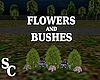 SC Bushes & Flowers