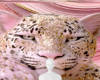 Pink gold baby tiger bg