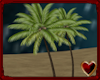 T♥ Anim Beach Palm