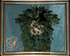 (SL) Garden Hanging Ivy