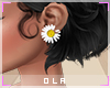 𝓛 ❀ Daisy Earrings