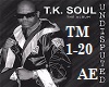 Try Me - TK Soul