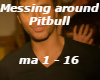 Messing Around Pitbull