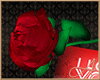 Red Rose & Valentine