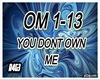 You Dont Own Me