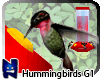 (N)Hummingbird Feeder G1