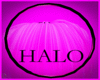 rave pink blk HALO