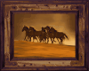 [M] Mustang Pic 4