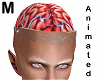 alive electric brain - M