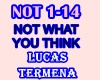 Lucas Termena-Not want