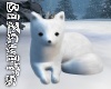 Cute Baby Polar Foxy