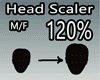 Scaler Head 120%