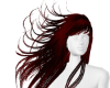 iva hair Bella 5