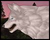 {Sunrise Wolf Pet White}