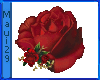 M Royal Crimson Rose Lrg