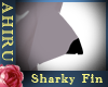 [A]BlackTip Shark Fin