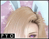 PYO| Blue bunny ears
