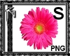 Pink Flower Sticker Sml