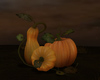 Pumpkins Halloween