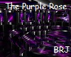 The Purple Rose Club