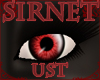 Sirnet: Ust