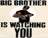BIG BROTHER IS WATCHINGU