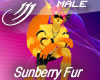 Sunberry Fur M