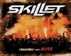 Skillet - Comatose