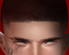 Ligth Fade