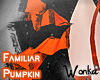 W° Pumpkin 🎃 Skirt