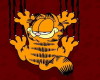 Garfield!!!