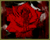 [LB]Bleeding Rose Frame