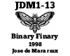 Binary Finary 1998 rmx