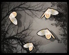 +GoldenSummerButterflies