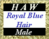 Royal Blue Hair - M
