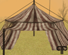 🤍P Circus Tent