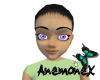 Anemone Purple Eyes
