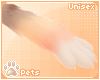 [Pets] Kinx | fluff paws