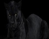 [DES] Dark Panther