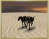 Desert Horse Ride