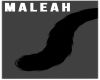 Black Bobcat Tail