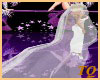 ~TQ~wedding veil